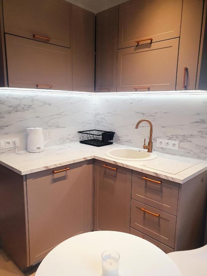 דז'יבנובק Apartament Beige Z Ogrodkiem מראה חיצוני תמונה